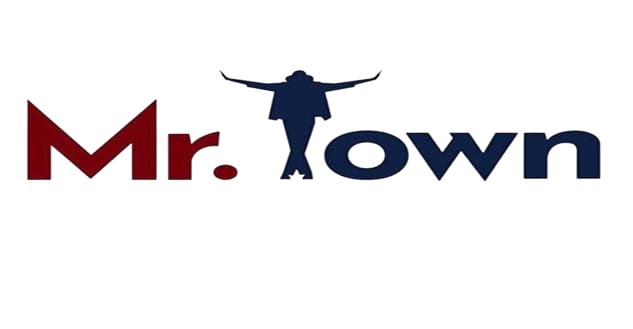 Mister Town Builders